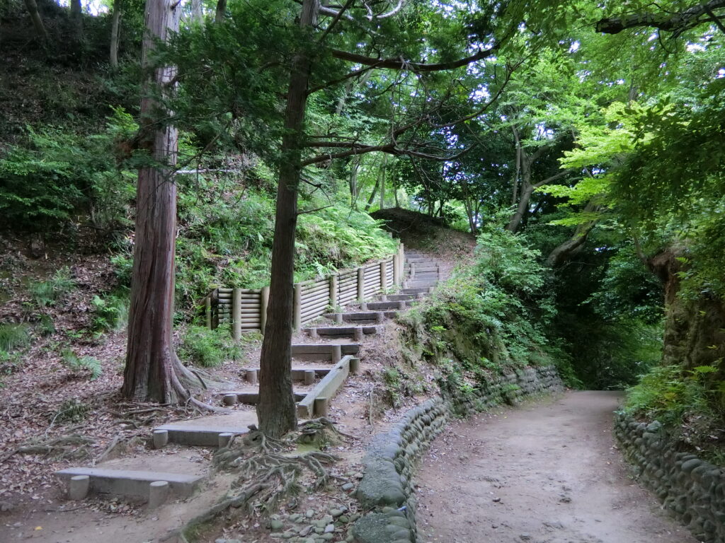 「二の丸」への登城道（韮山高校の部活動の生徒がランニングしてました！）