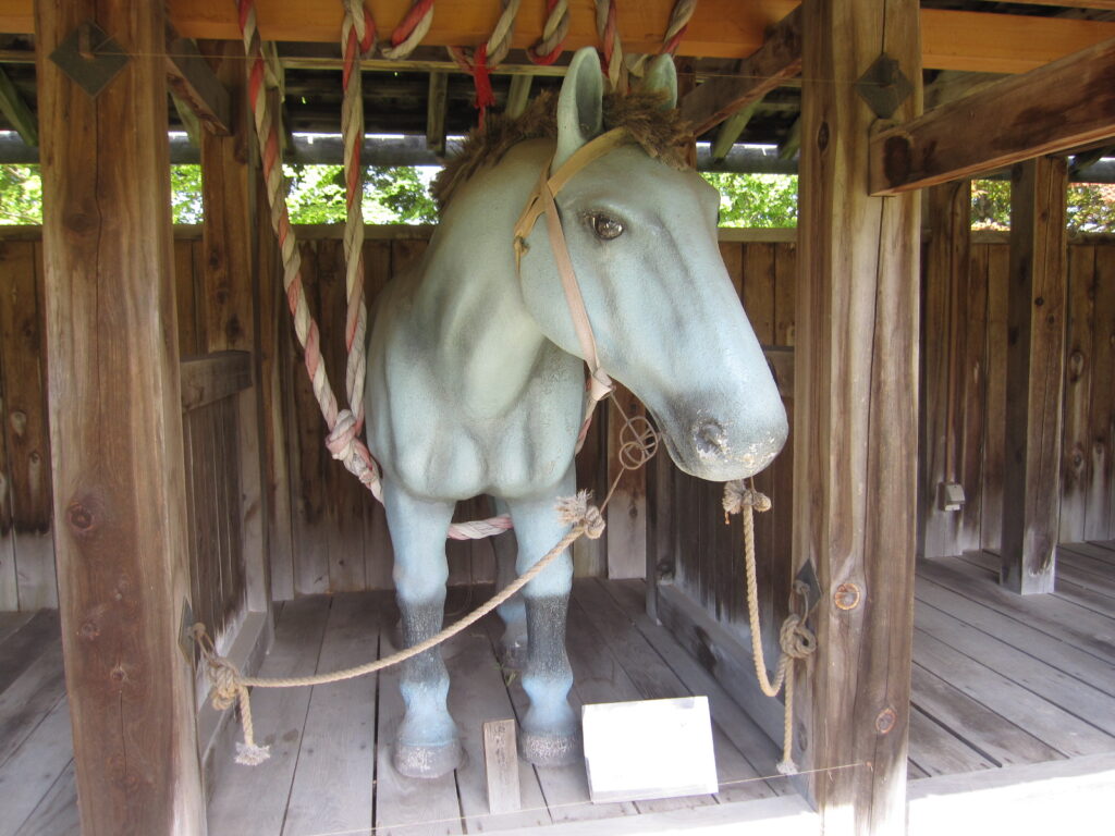 中馬屋の白馬（当時の体高[肩までの高さ]は約1.3mと小さかったそう）